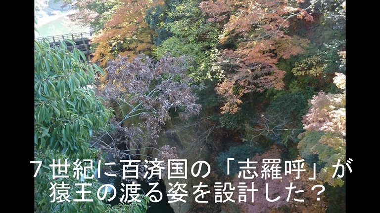 イメージ 39