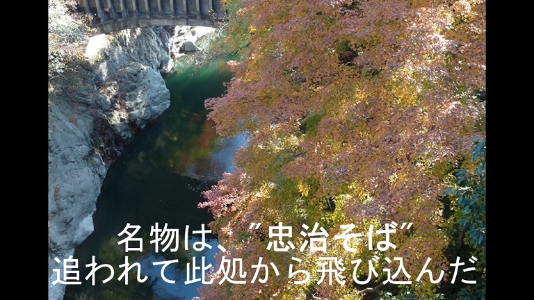 イメージ 41