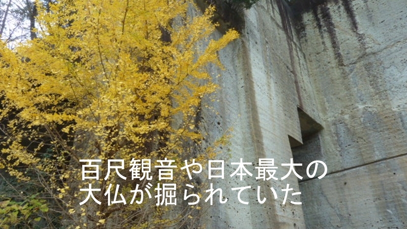 イメージ 6