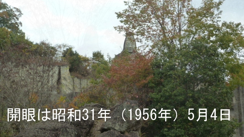 イメージ 8