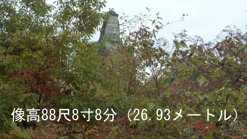 イメージ 10