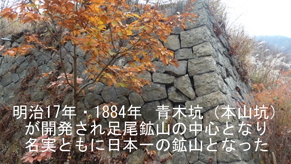 イメージ 9