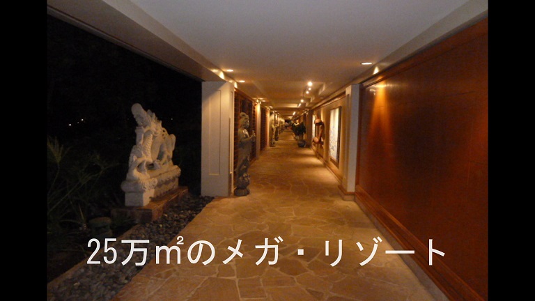 イメージ 11