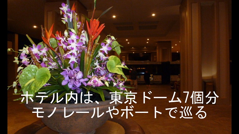 イメージ 13