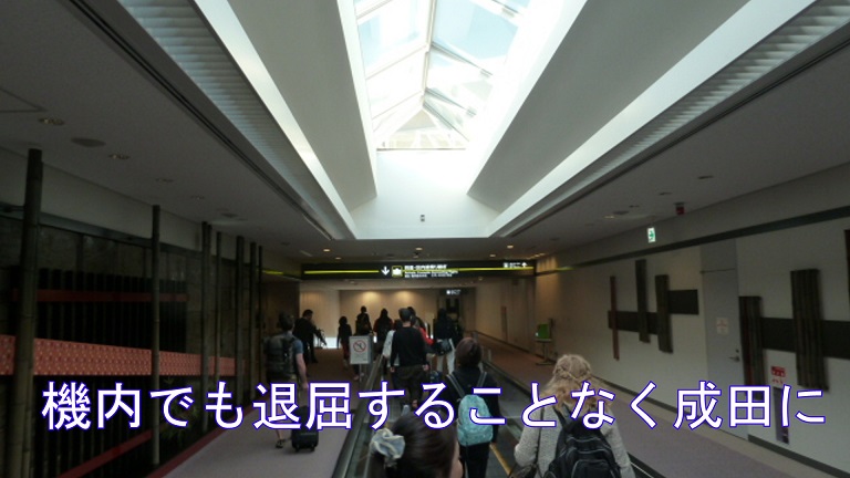 イメージ 13