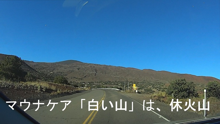 イメージ 7