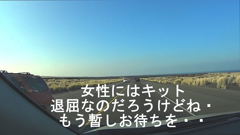 イメージ 14