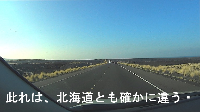 イメージ 15