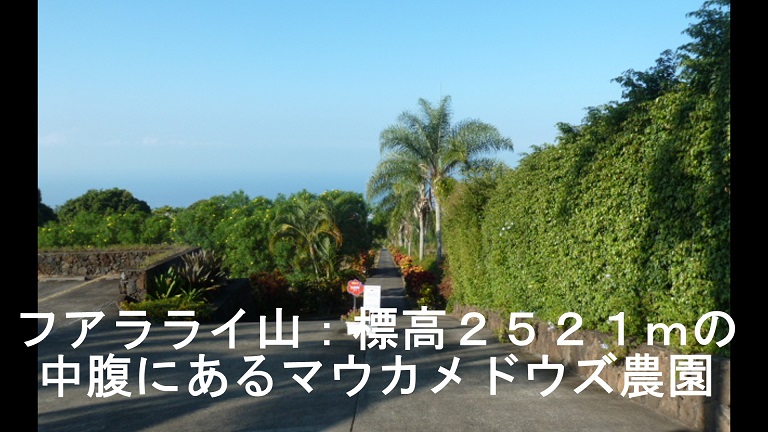 イメージ 20