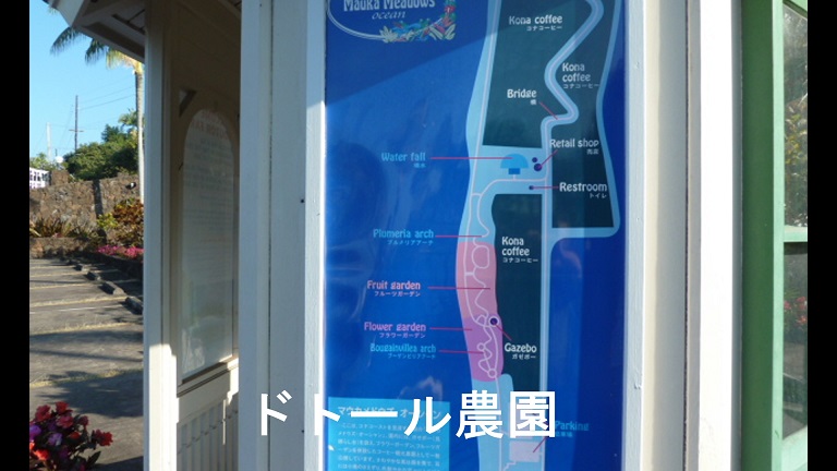 イメージ 21