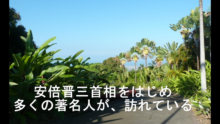 イメージ 22
