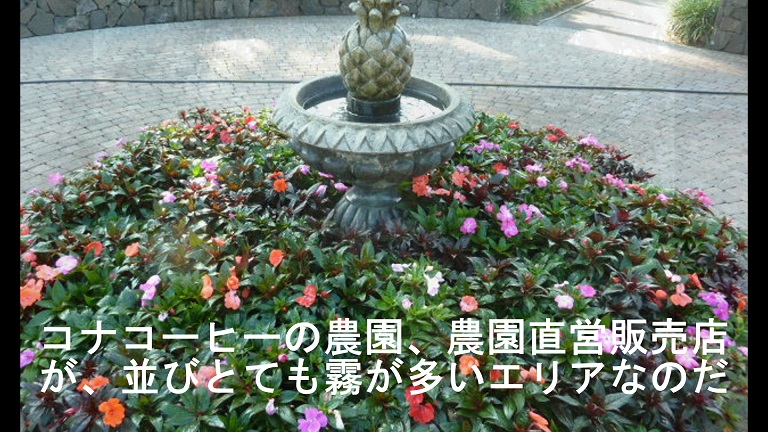 イメージ 24