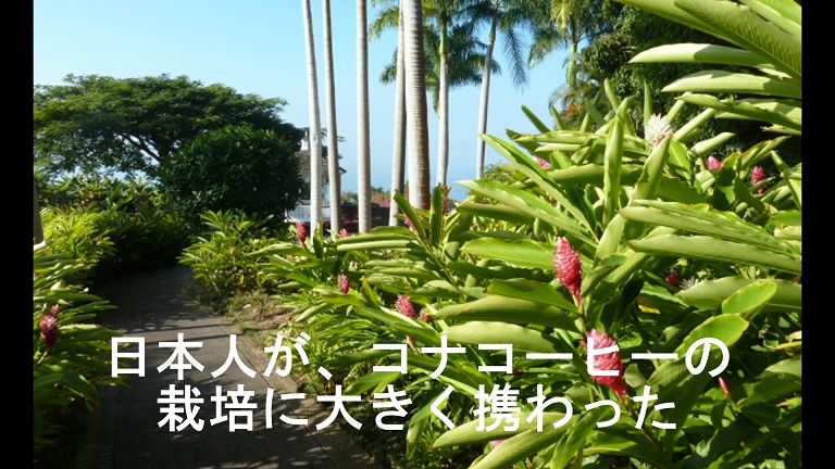 イメージ 25