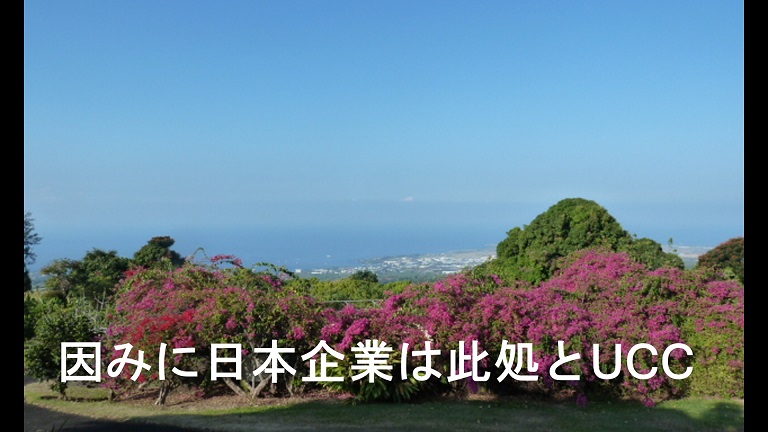 イメージ 26