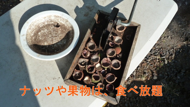 イメージ 27