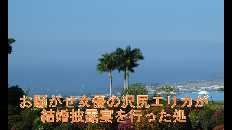 イメージ 28