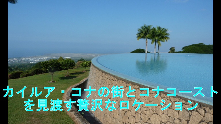 イメージ 31
