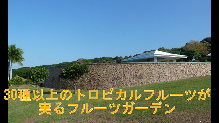 イメージ 32