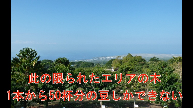 イメージ 33