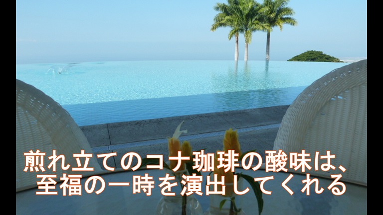イメージ 34