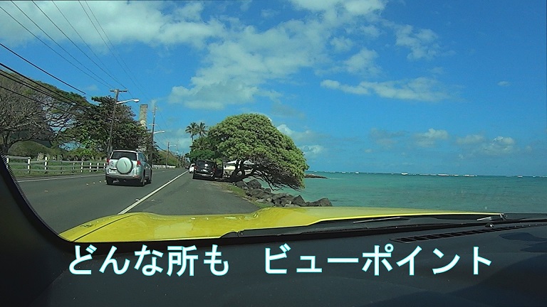 イメージ 15
