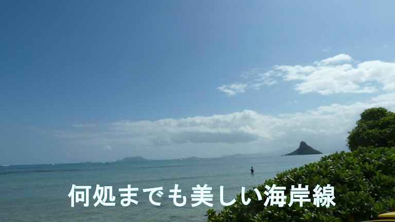 イメージ 18