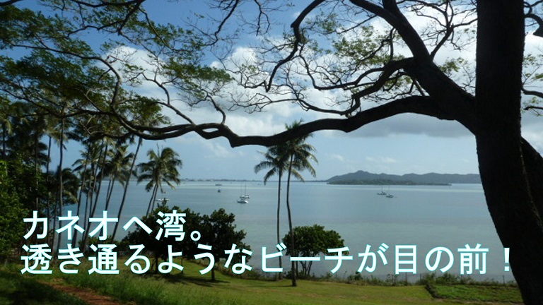 イメージ 7