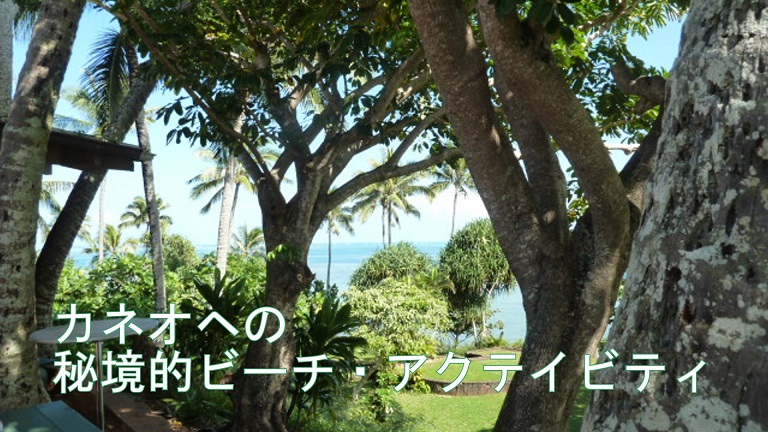 イメージ 8