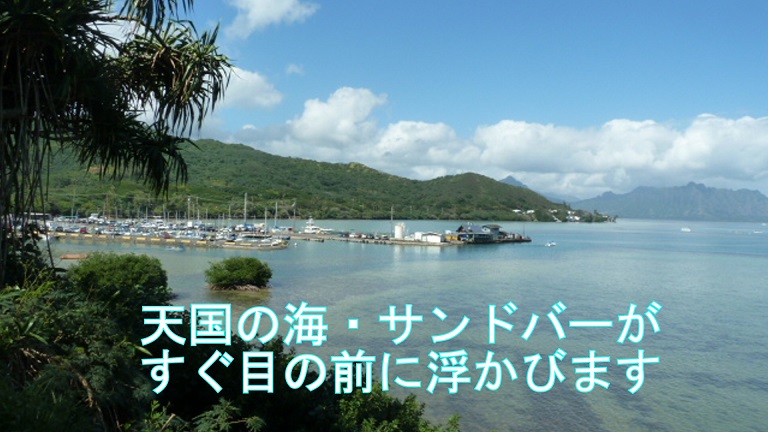 イメージ 10