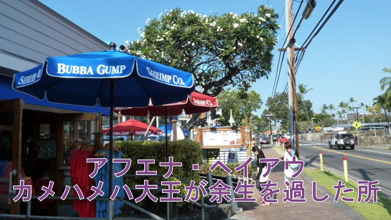 イメージ 11