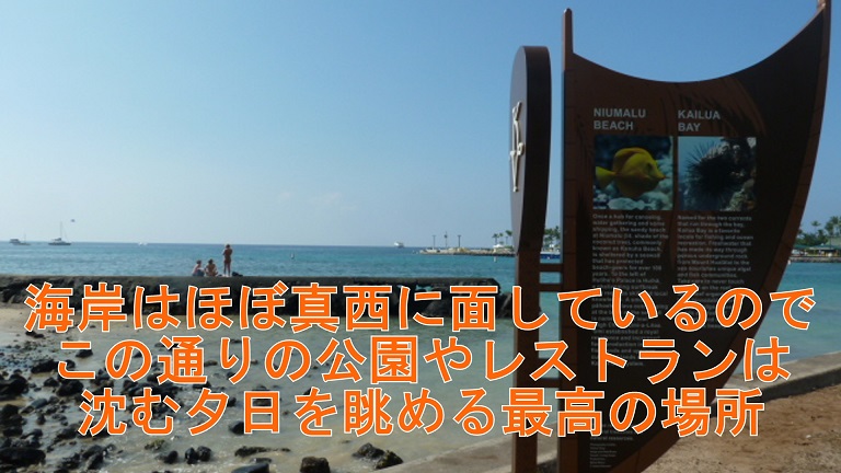 イメージ 17