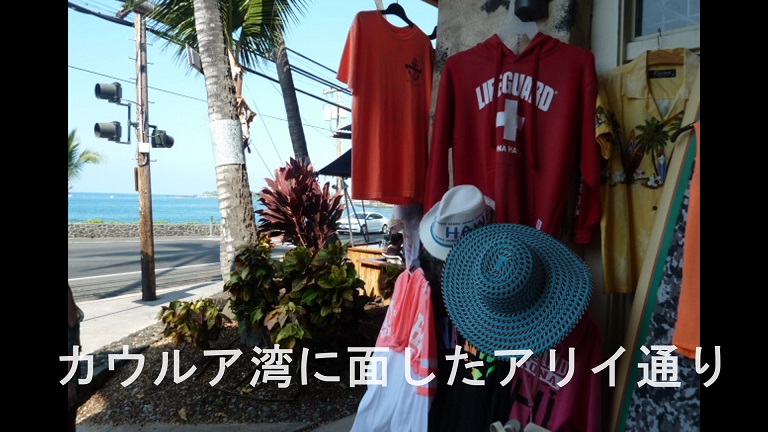 イメージ 8