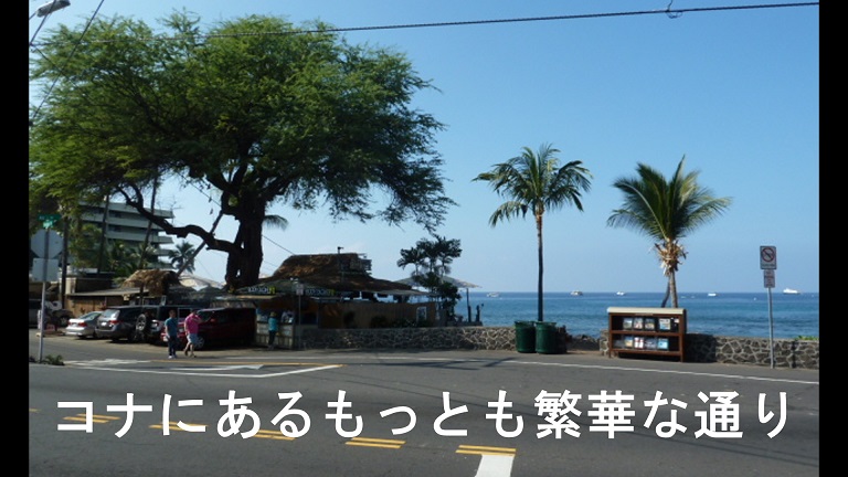 イメージ 9