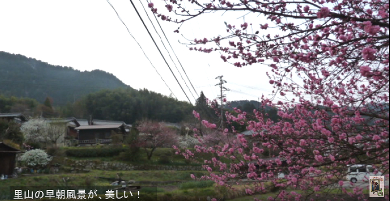 イメージ 14