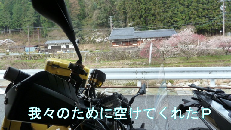 イメージ 33