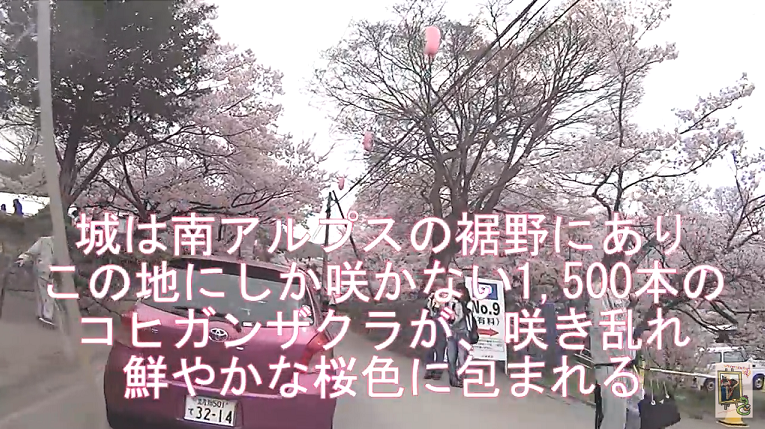 イメージ 11
