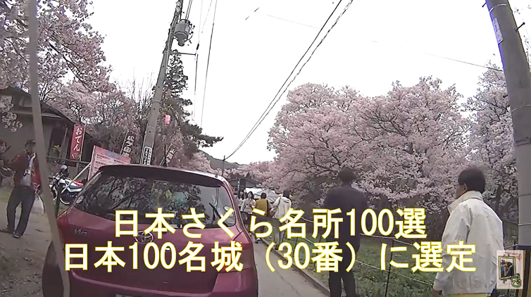 イメージ 13