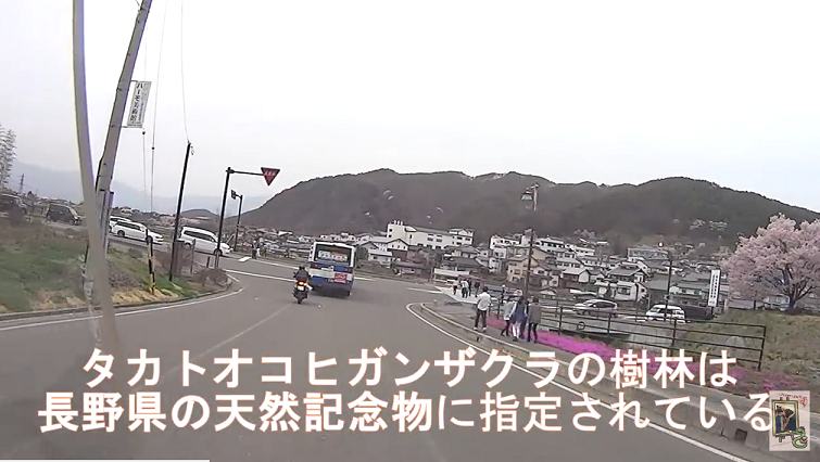 イメージ 24