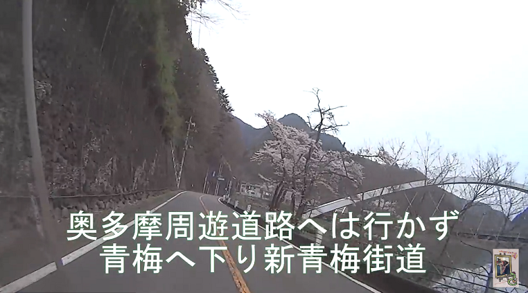 イメージ 39