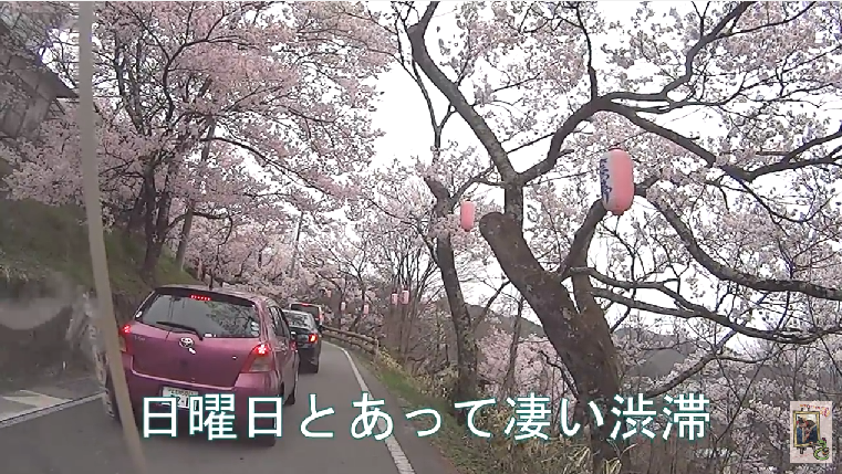 イメージ 6