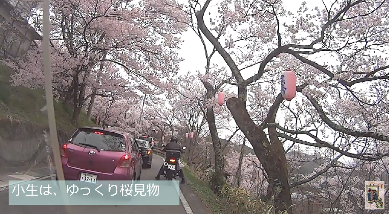 イメージ 7