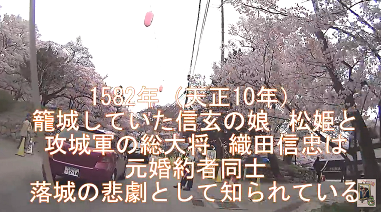 イメージ 10
