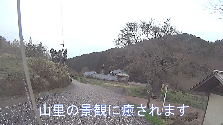 イメージ 24