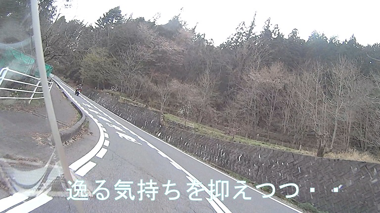 イメージ 30
