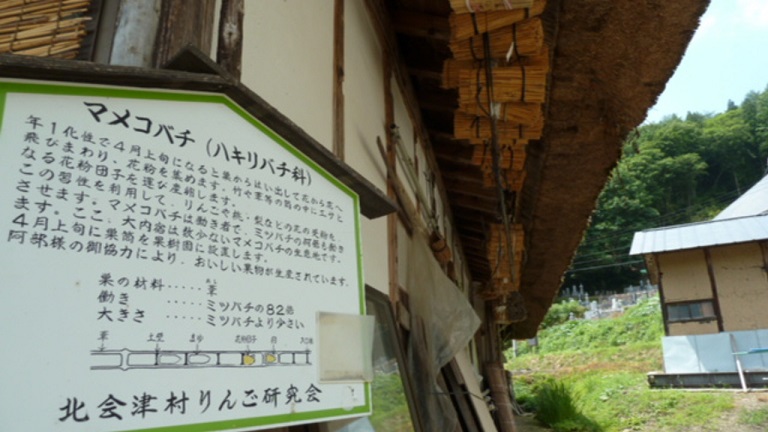 イメージ 45