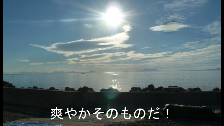 イメージ 29