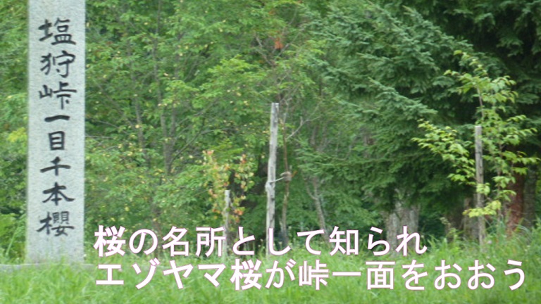 イメージ 12