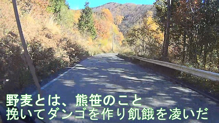 イメージ 30