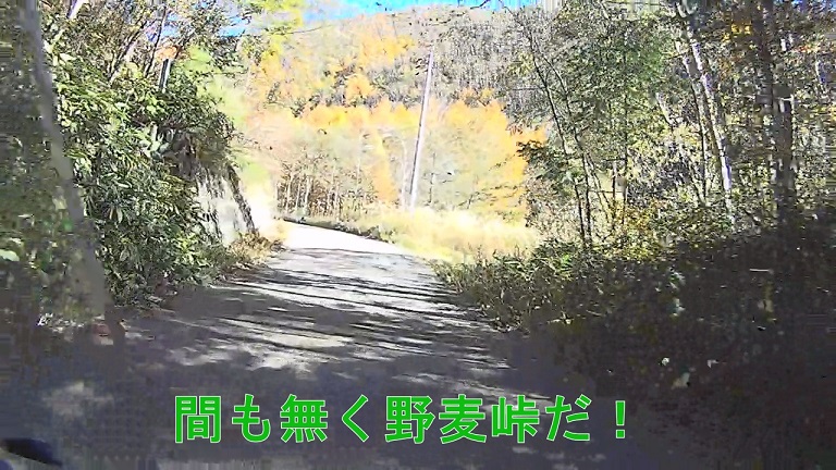 イメージ 31