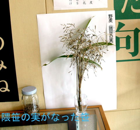 イメージ 41